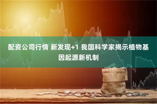 配资公司行情 新发现+1 我国科学家揭示植物基因起源新机制